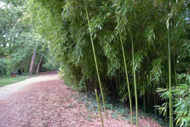 Parc du Moulin D'Ornon de Gradignan (7).